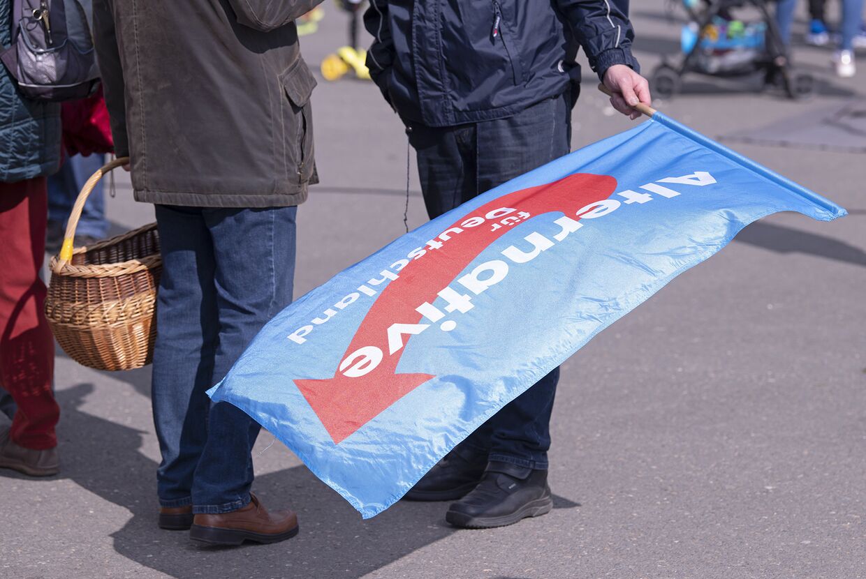 Сторонники ультраправой партии «Альтернатива для Германии» в Гере