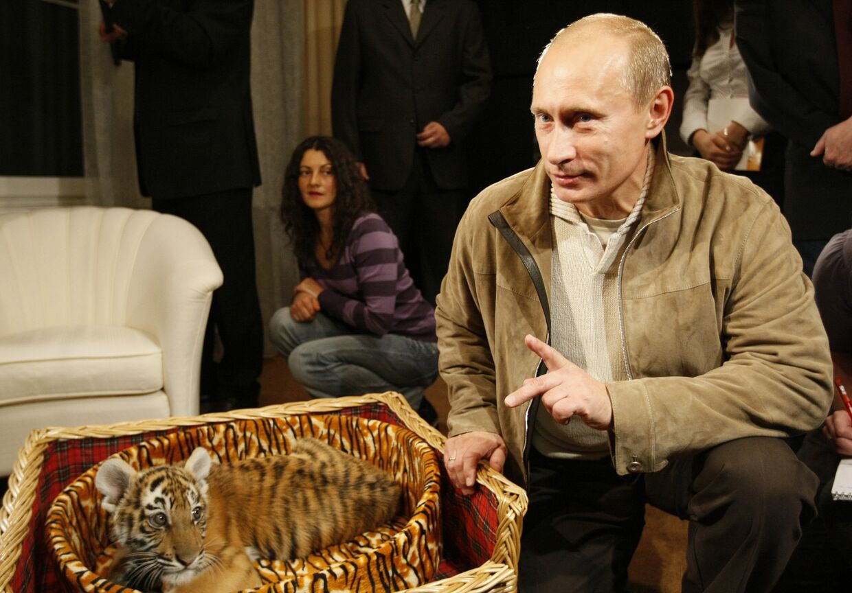 Владимир Путин представил журналистам подаренного тигренка
