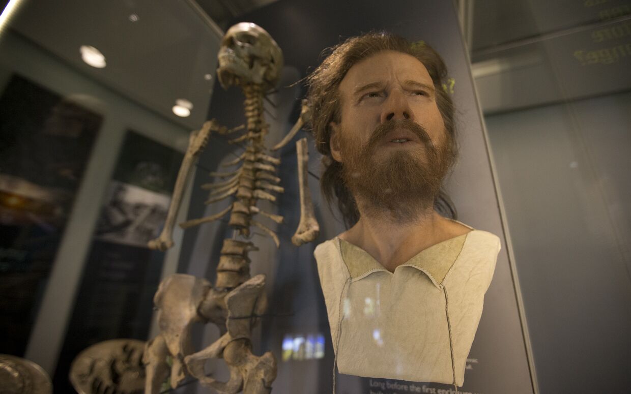 Скелет и реконструкция лица мужчины эпохи неолита, Великобритания