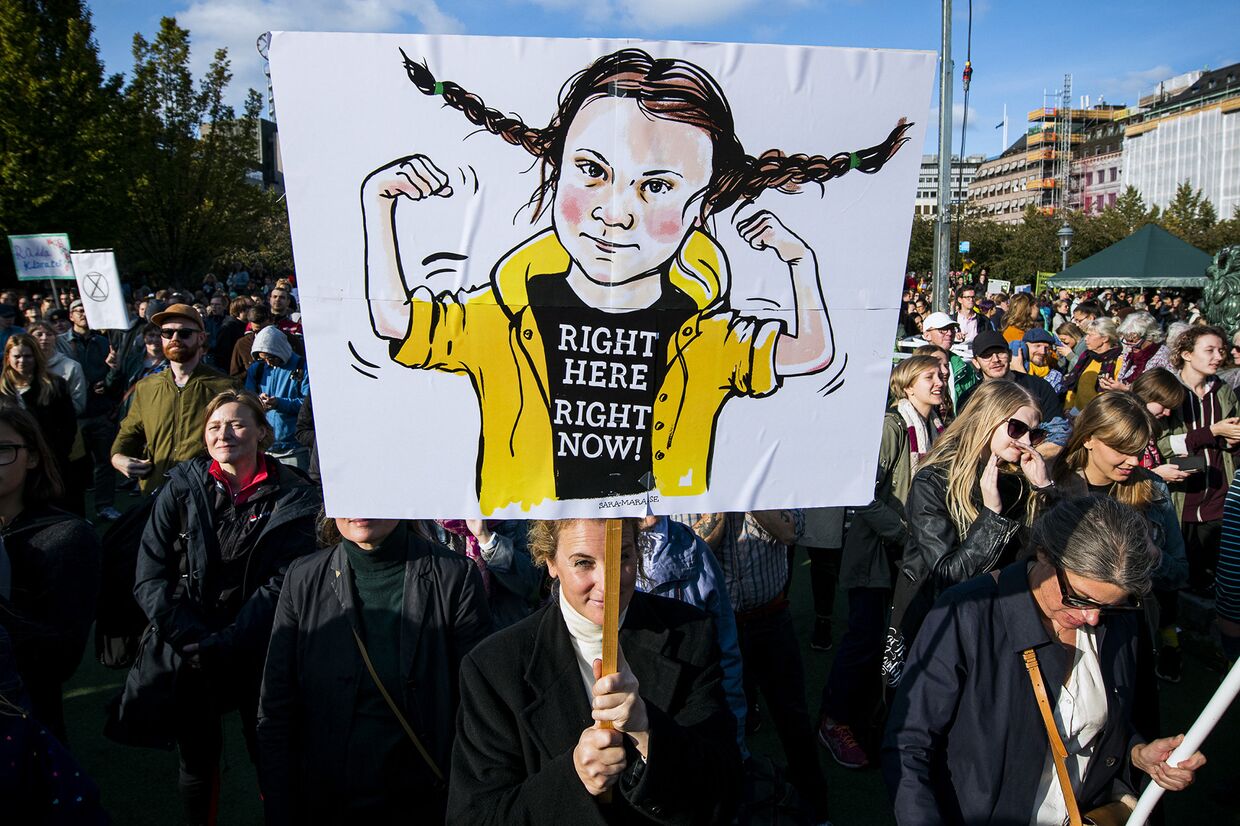 Участники всемирной климатической забастовки в Стокгольме