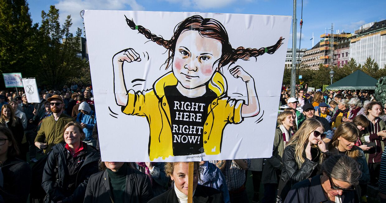 Участники всемирной климатической забастовки в Стокгольме