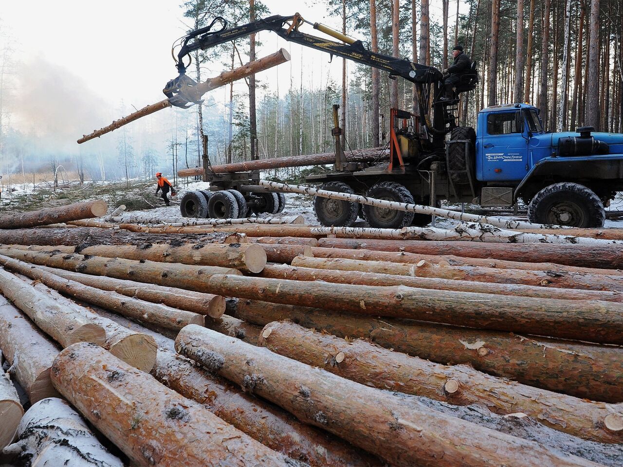 Без российского леса жилье в Японии не построишь | 12.06.2022, ИноСМИ