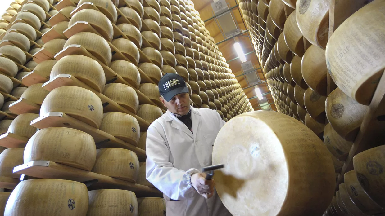 Производство итальянского сыра в Биббиано, Италия