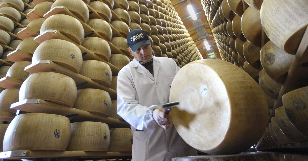 Производство итальянского сыра в Биббиано, Италия