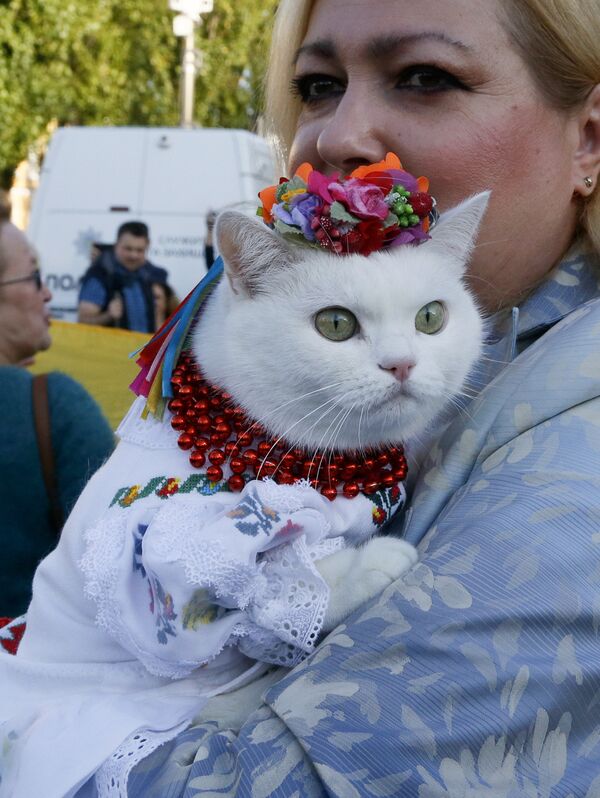 Женщина с кошкой на митинге, приуроченного ко «Дню защитника Украины» в Киеве