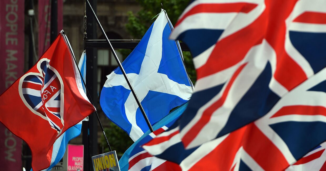 Флаги сторонников независимости Шотландии в Глазго