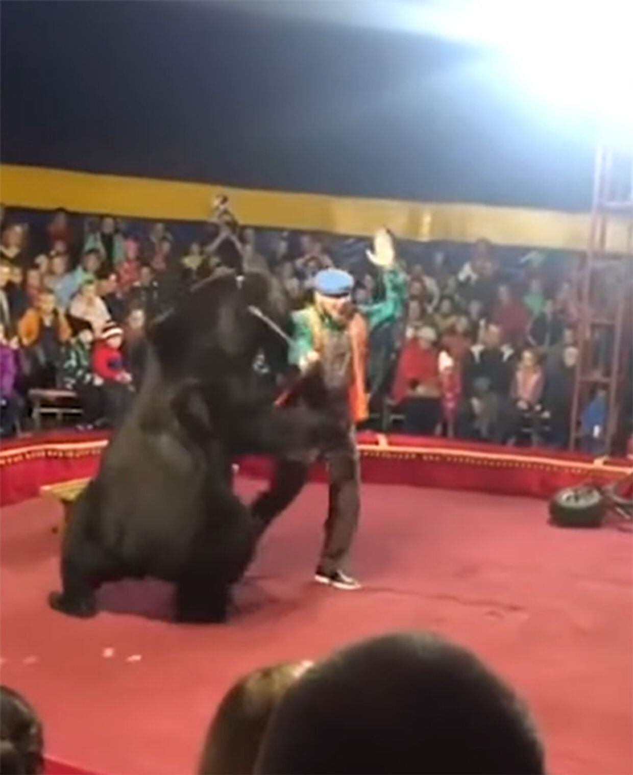 Un oso ataca a su domador en plena función en un circo de Rusia