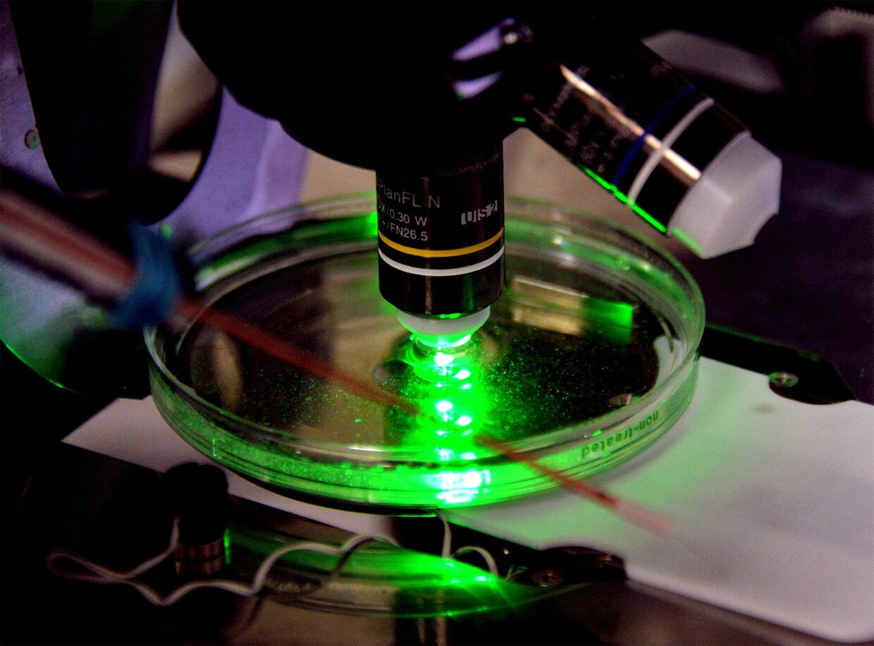 Лаборатория биомедицинских клеточных технологий