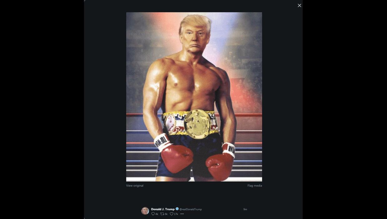 Скриншот из Твиттера Дональда Трампа