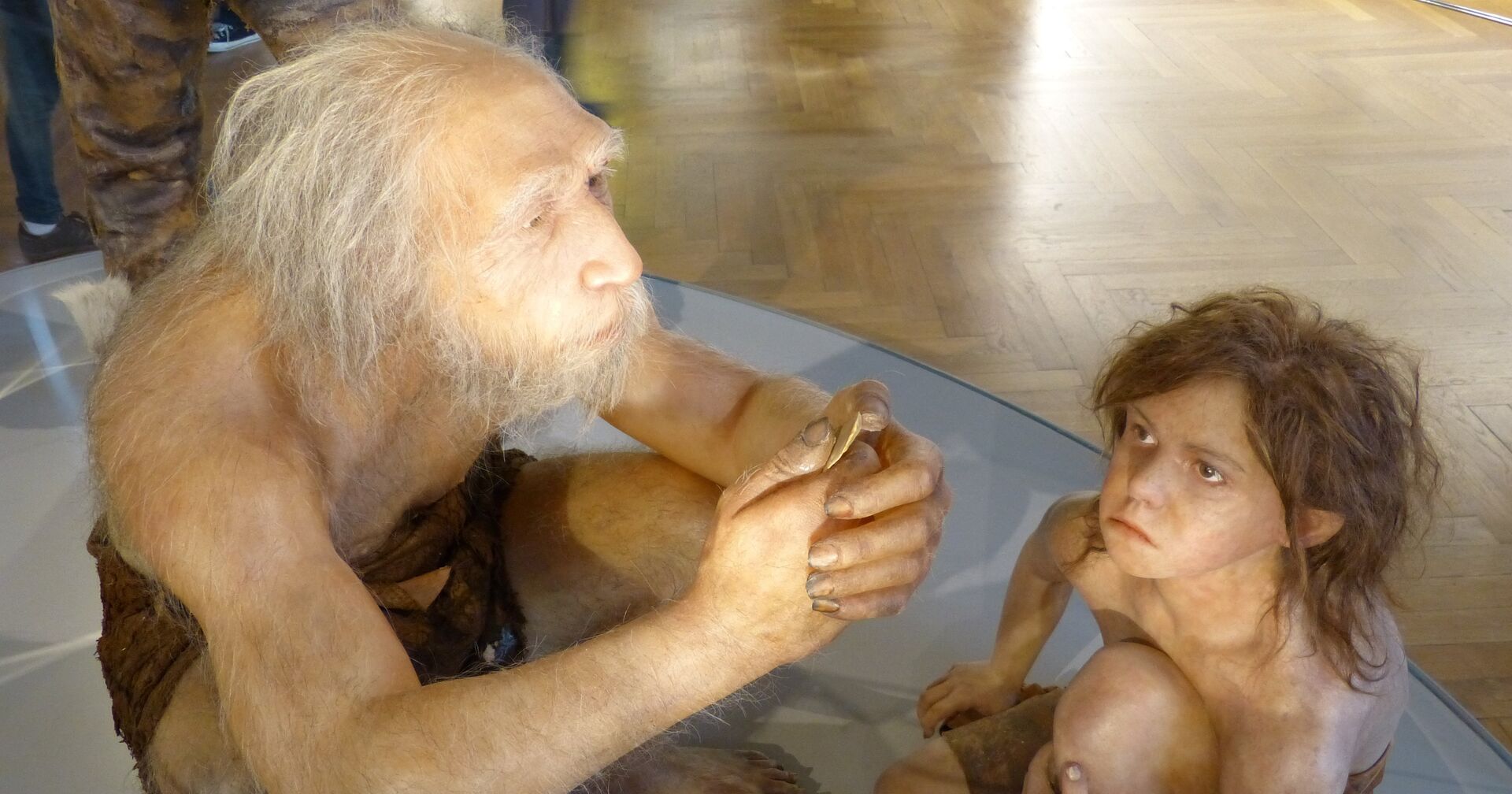 Неандертальцы в Музее естественной истории в Вене, Австрия - ИноСМИ, 1920, 17.01.2021