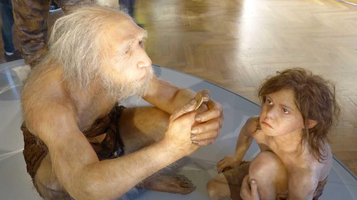 Неандертальцы в Музее естественной истории в Вене, Австрия
