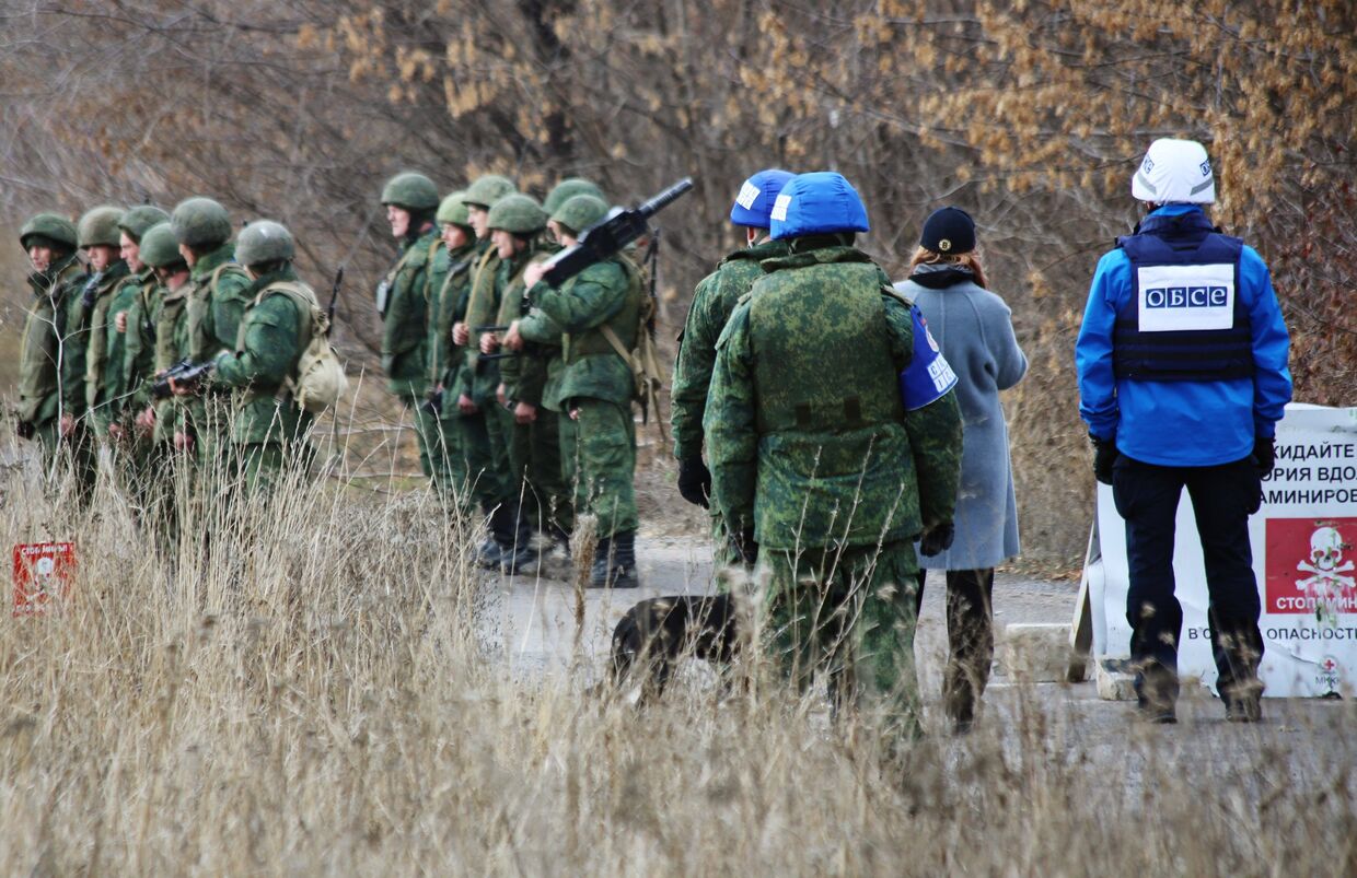Украинский военный проверяет оружие в селе Золотое 4 на востоке Украины