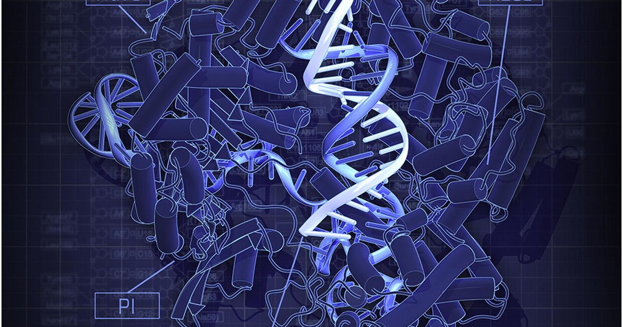 Кристаллическая структура CRISPR–Cas9