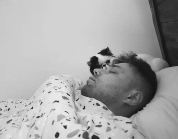 My wife caught my cat plotting my downfall My wife caught my cat plotting my downfall