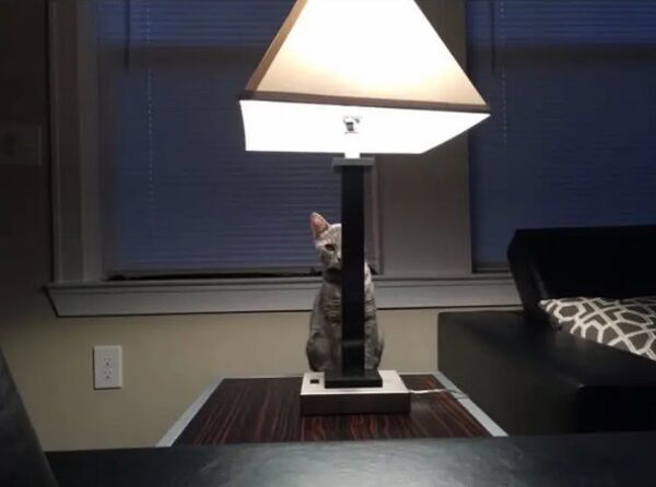 I think she's plotting something I think she's plotting something