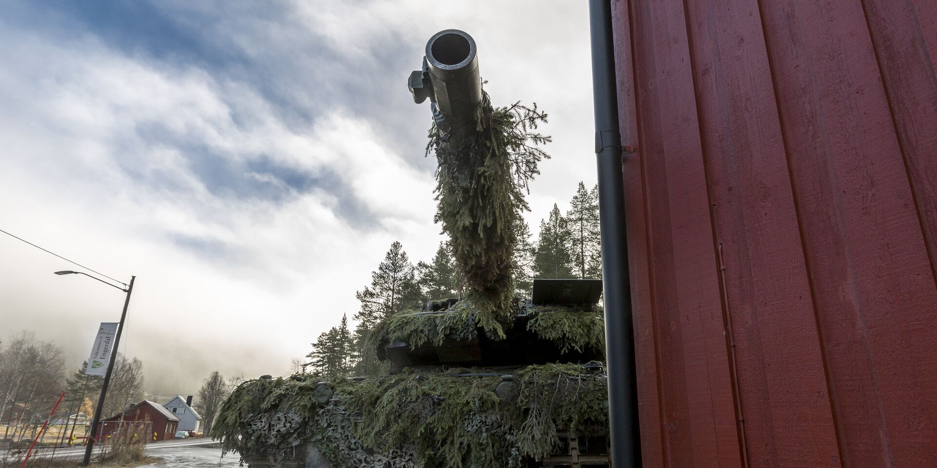 Замаскированный танк на учениях НАТО «Единый трезубец», в которых также участвовали вооруженные силы Швеции и Финляндии - ИноСМИ, 1920, 21.05.2022