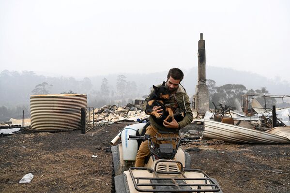 Мужчина спасает собаку в разрушенном лесными пожарами городе Кайе, Австралия