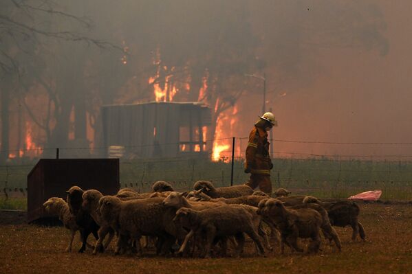Пожарный недалеко от города Тахмур на юго-западе от Сиднея