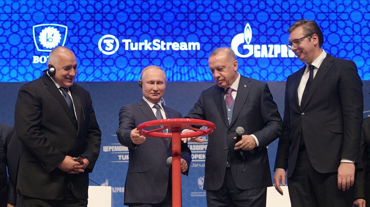 Рабочий визит президента РФ В. Путина в Турецкую Республику