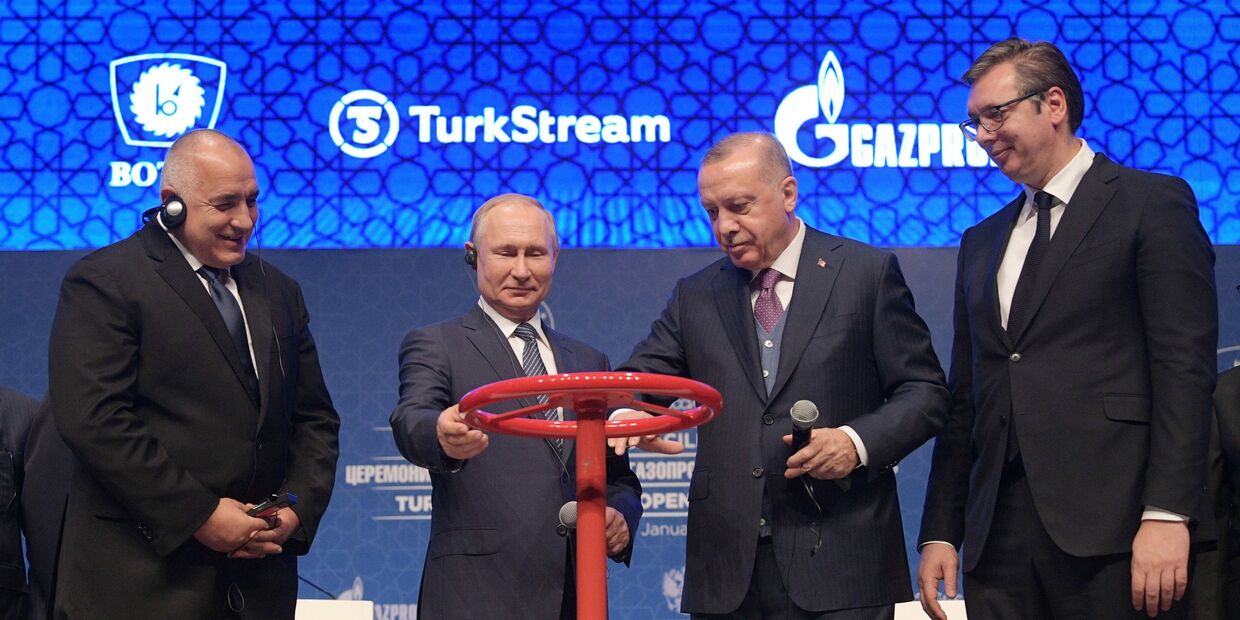 Рабочий визит президента РФ В. Путина в Турецкую Республику