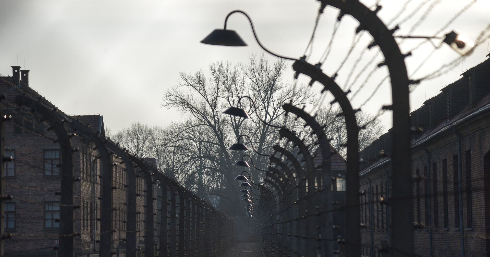 Музей на территории бывшего концентрационного лагеря Аушвиц-Биркенау в польском Освенциме - ИноСМИ, 1920, 24.05.2021