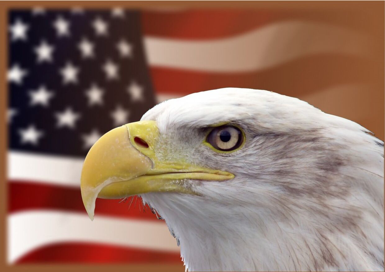 Орел и американский флаг