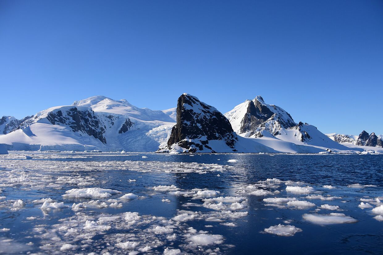 Южные Шетландские острова, Антарктида, 9 февраля 2020 года