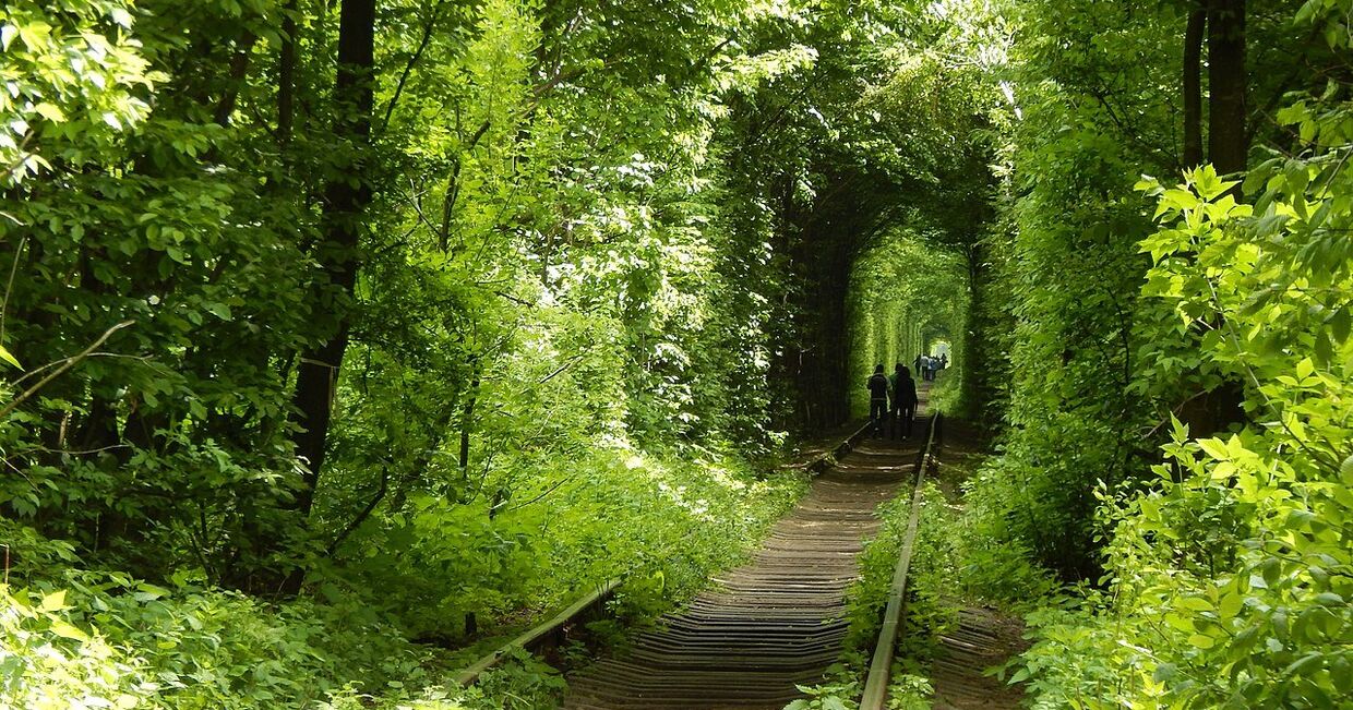 Тоннель любви возле поселка Клевань на Украине