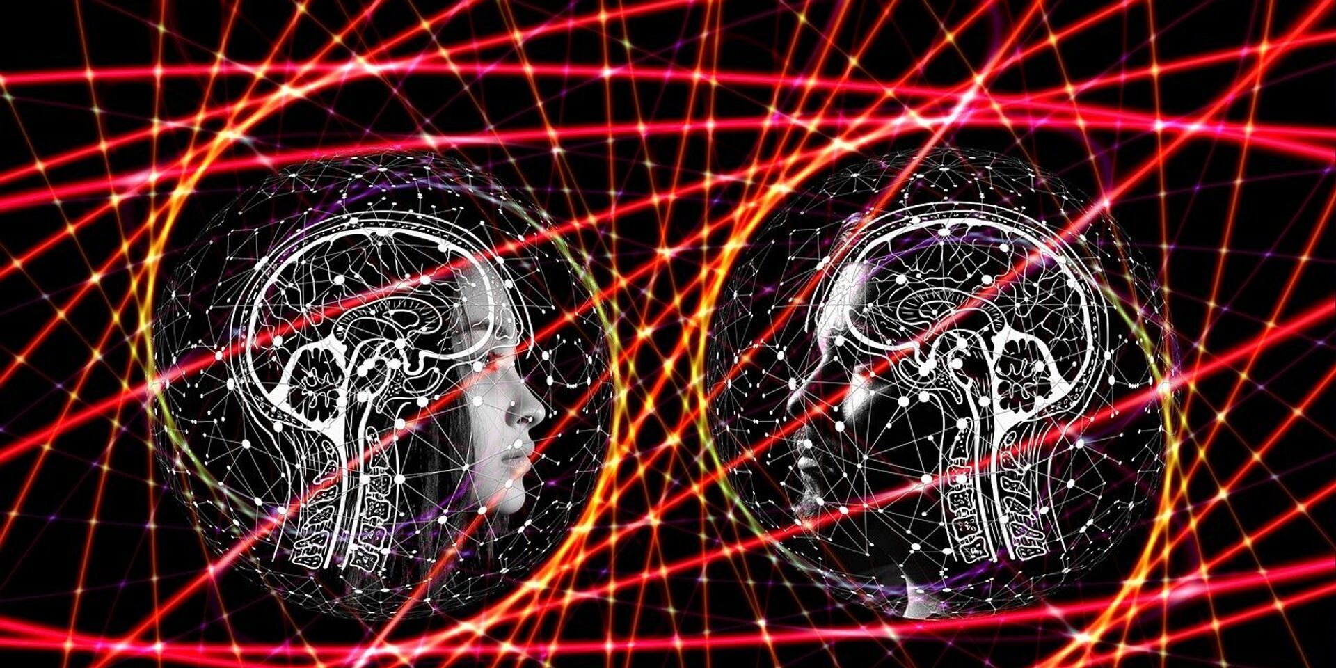 От навигации до рациональности: тонкие различия между мужским и женским головным мозгом, о которых вы даже не догадывались