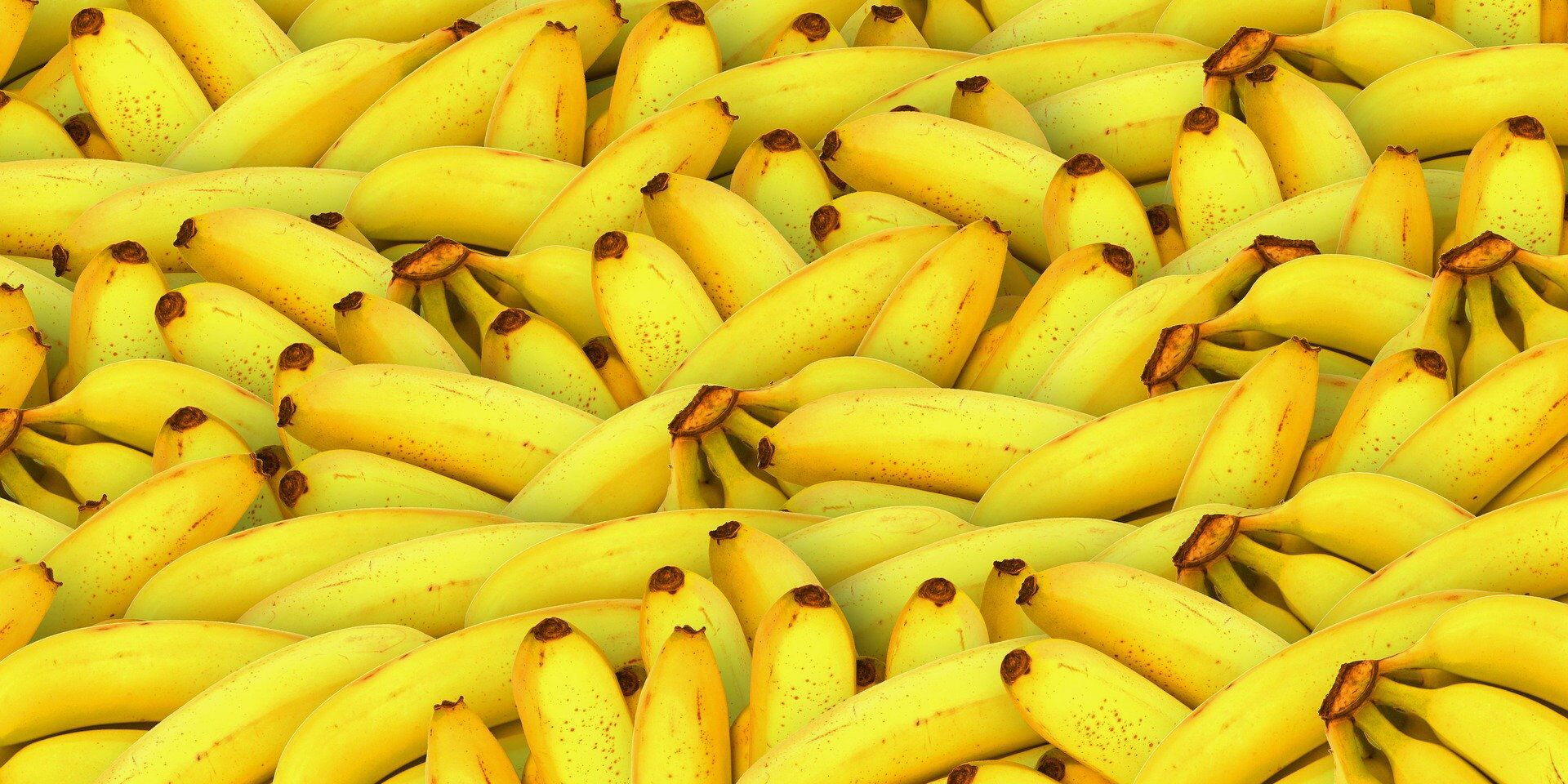 Бананы - ИноСМИ, 1920, 01.04.2023