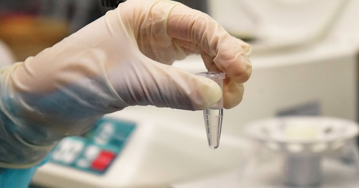 Сотрудник лаборатории проводит тестирование проб на коронавирус
