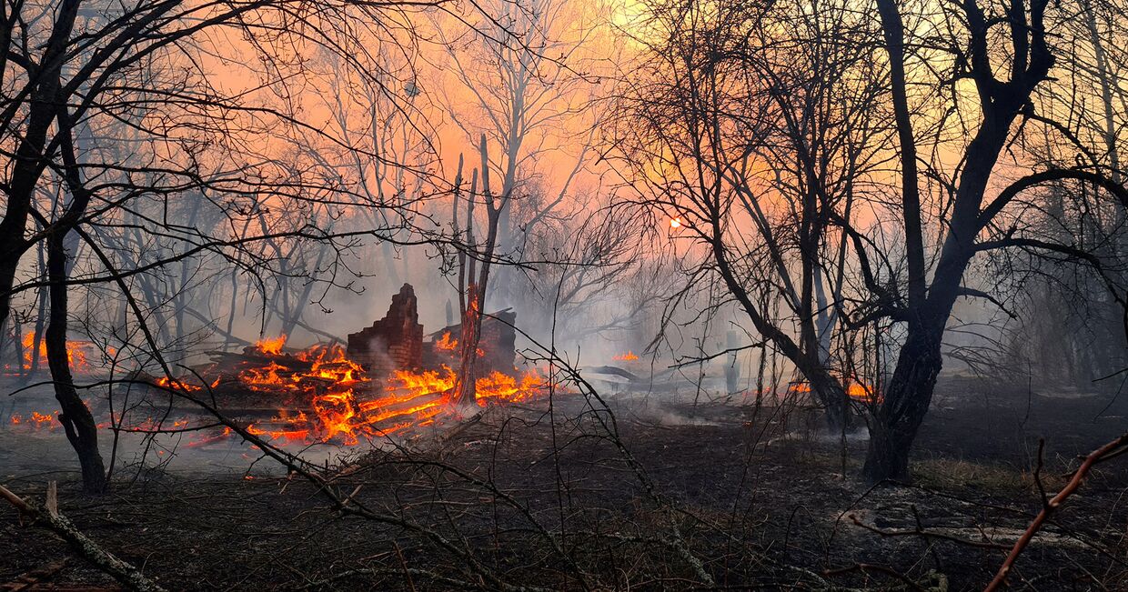 Пожар горит в зоне отчуждения вокруг Чернобыльской АЭС, недалеко от села Раховка