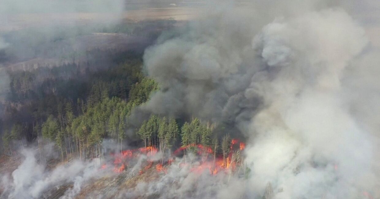Аэрофотосъемка лесного пожара в 30-километровой зоне отчуждения вокруг Чернобыльской АЭС