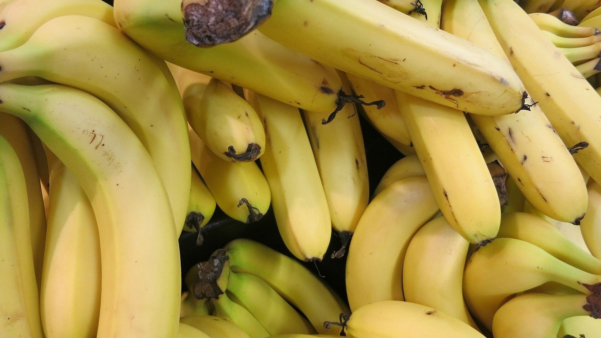 Десертный банан польза. Банан. Гроздь бананов. Спелый банан. Бананы на ветке.