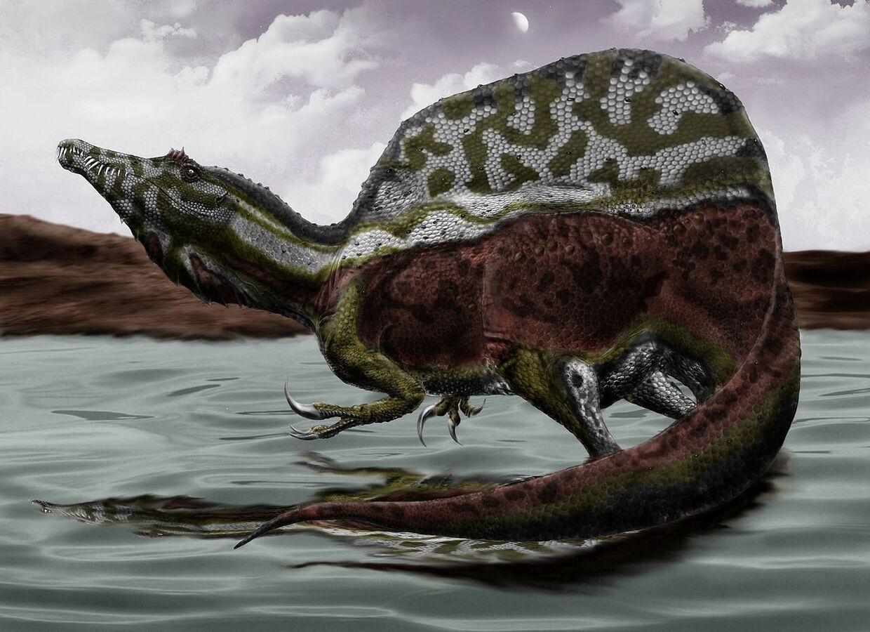 Реконструкция спинозавра амбидекстера 2015 года