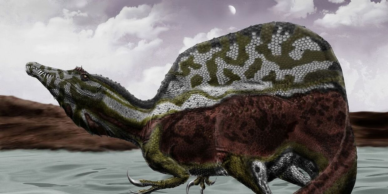 Реконструкция спинозавра амбидекстера 2015 года