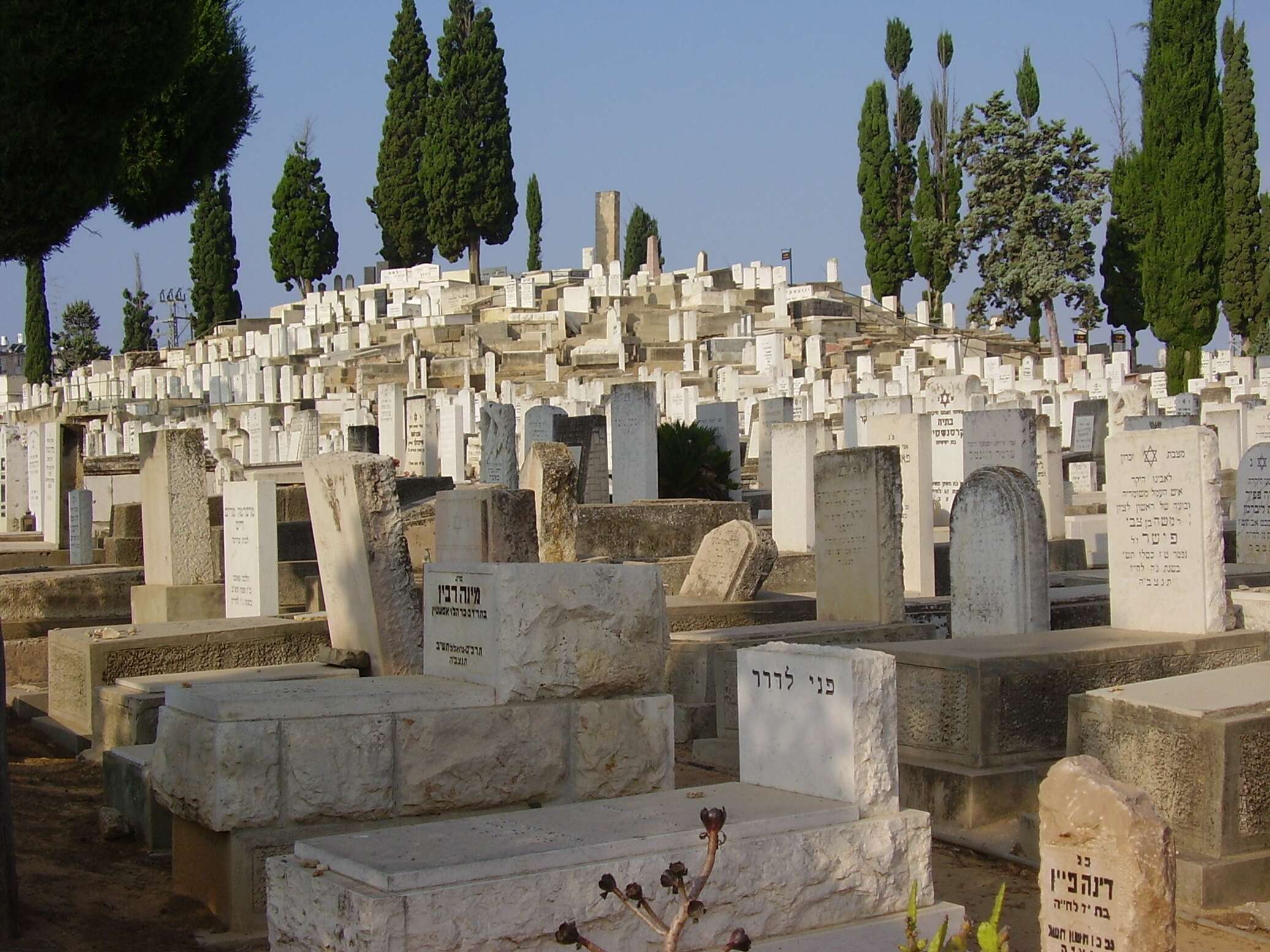 Кладбище в Ришон Ле Ционе