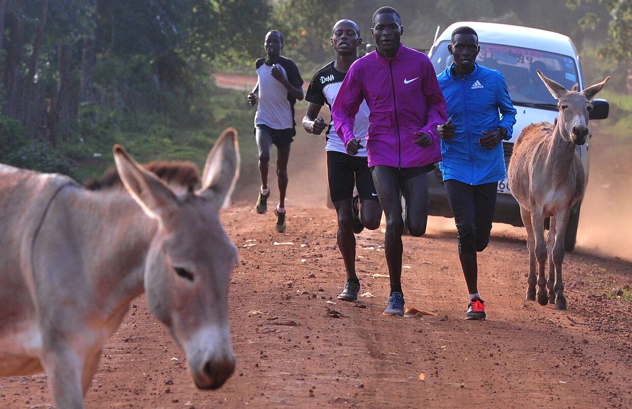 Тренировка бегунов в Итене, Кения