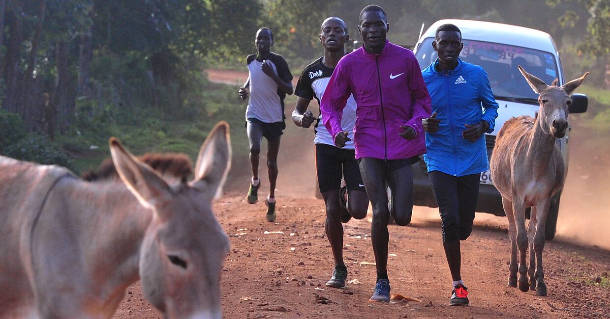 Тренировка бегунов в Итене, Кения