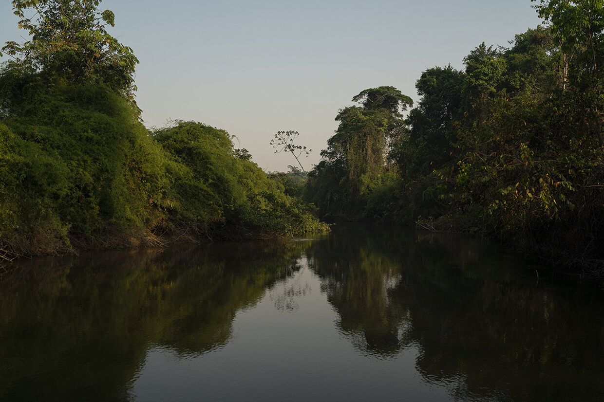 Река Питчача в Бразилии