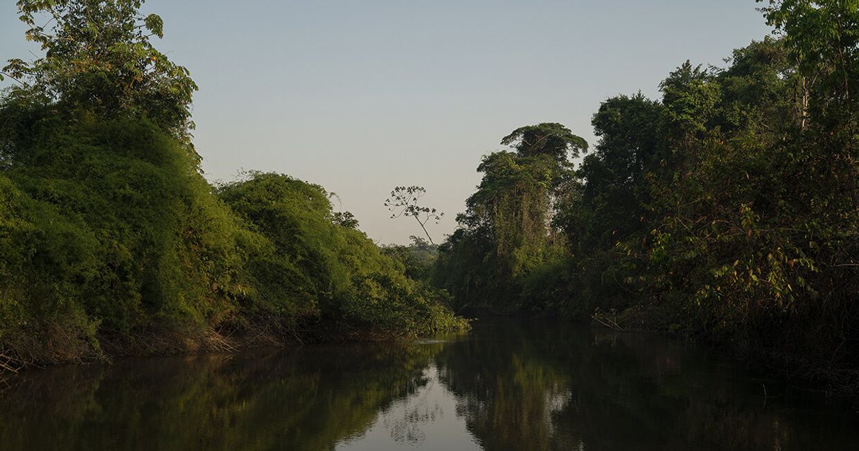 Река Питчача в Бразилии
