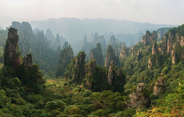 Национальный лесной парк Чжанцзяцзе в Китае