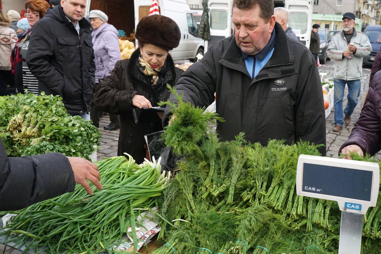 Покупатель приобретает укроп на ярмарке местных сельхозпроизводителей в Калининграде