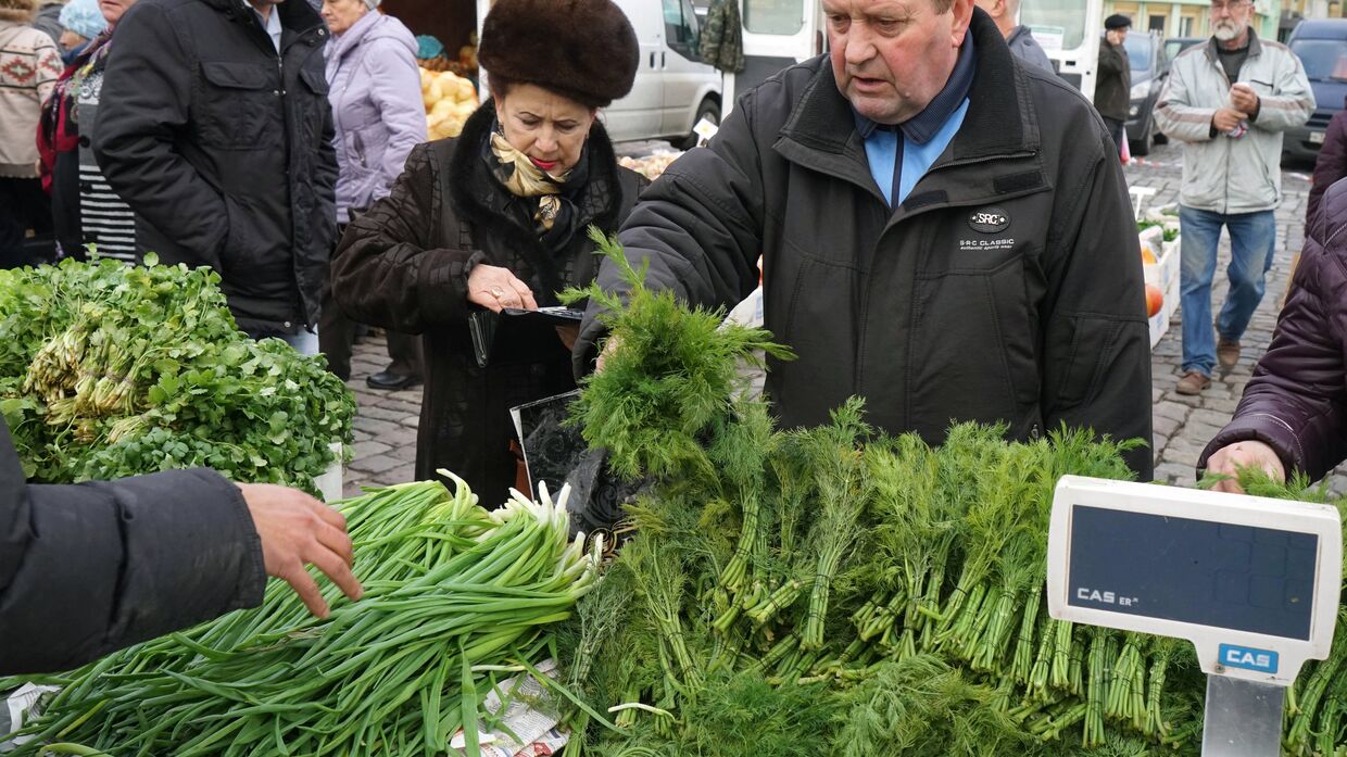 Покупатель приобретает укроп на ярмарке местных сельхозпроизводителей в Калининграде