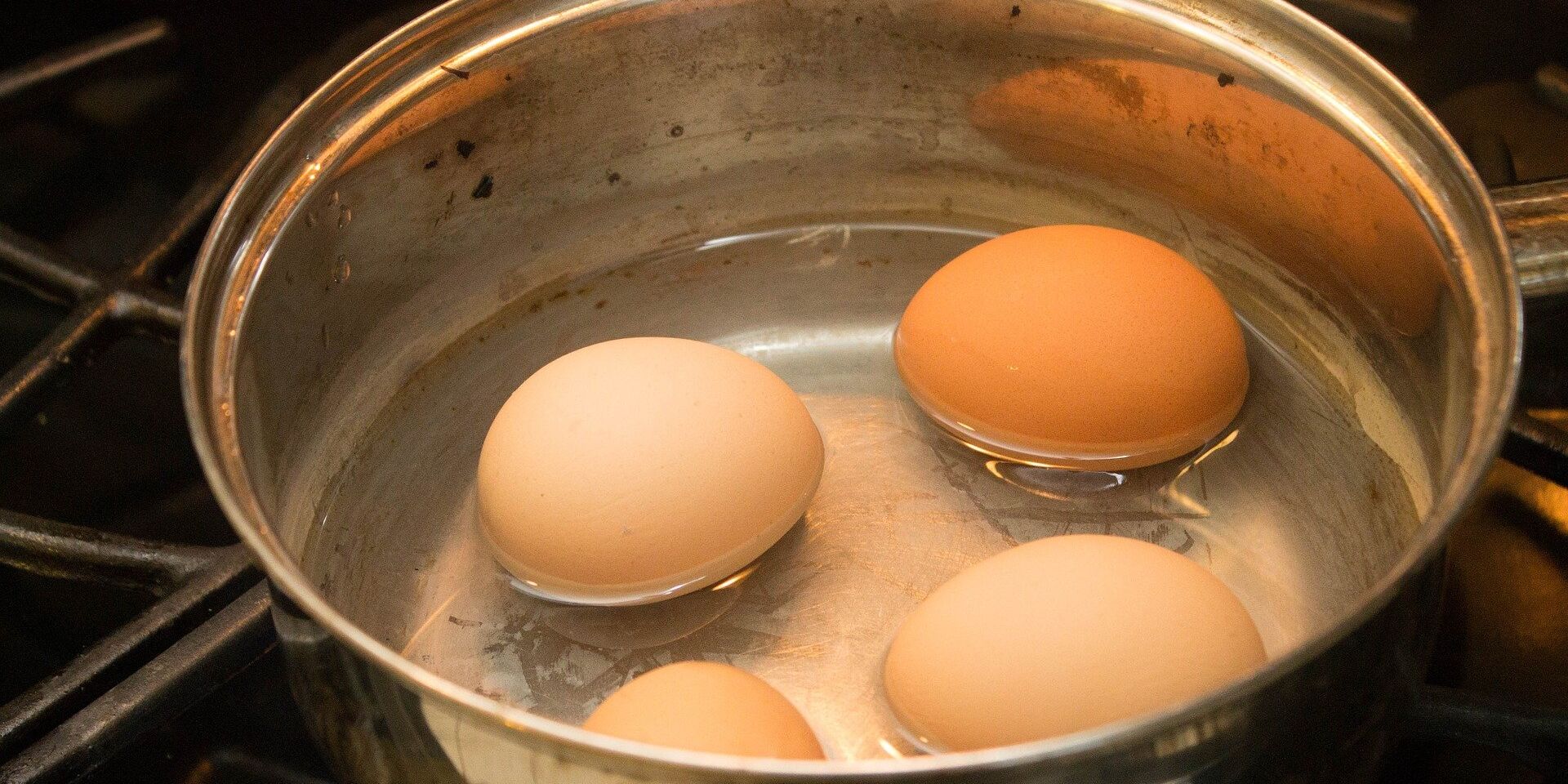 Вареные яйца - ИноСМИ, 1920, 12.06.2021