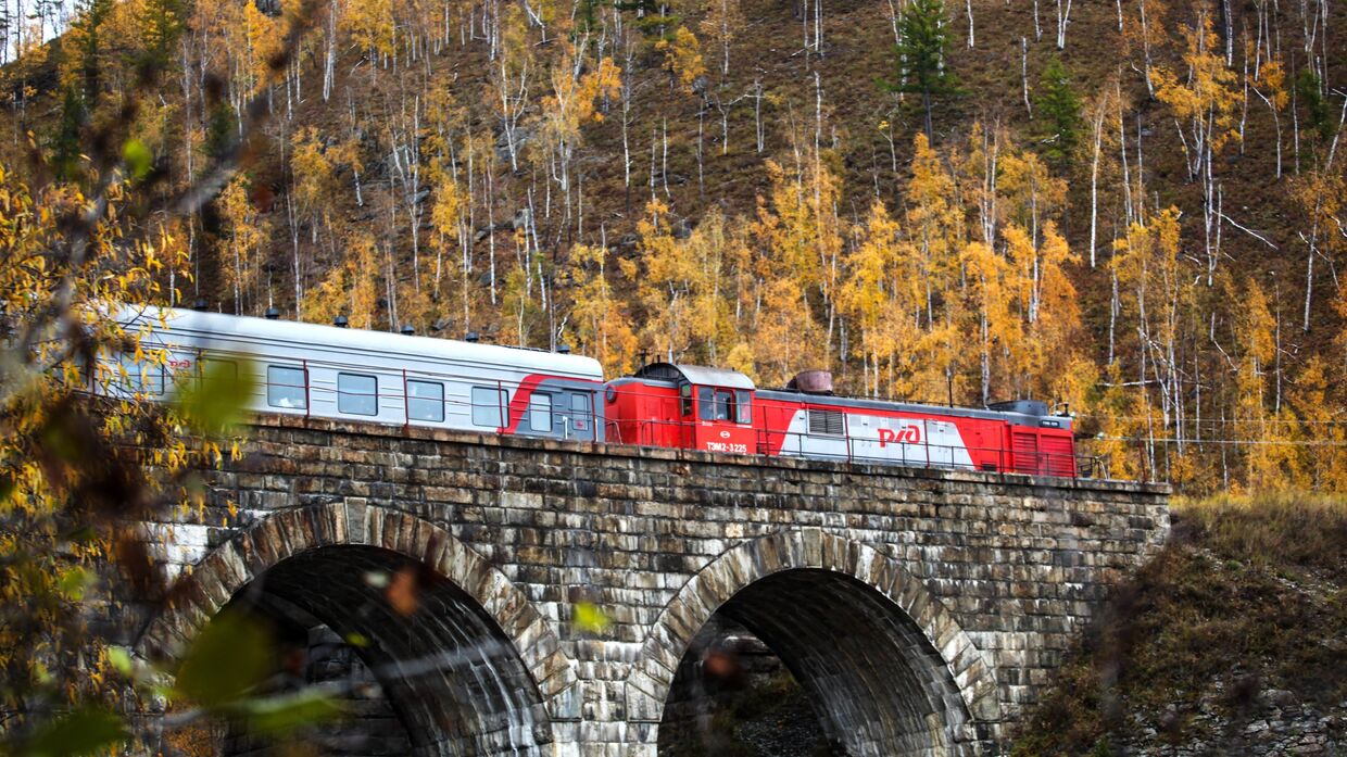 Поезд проезжает мост