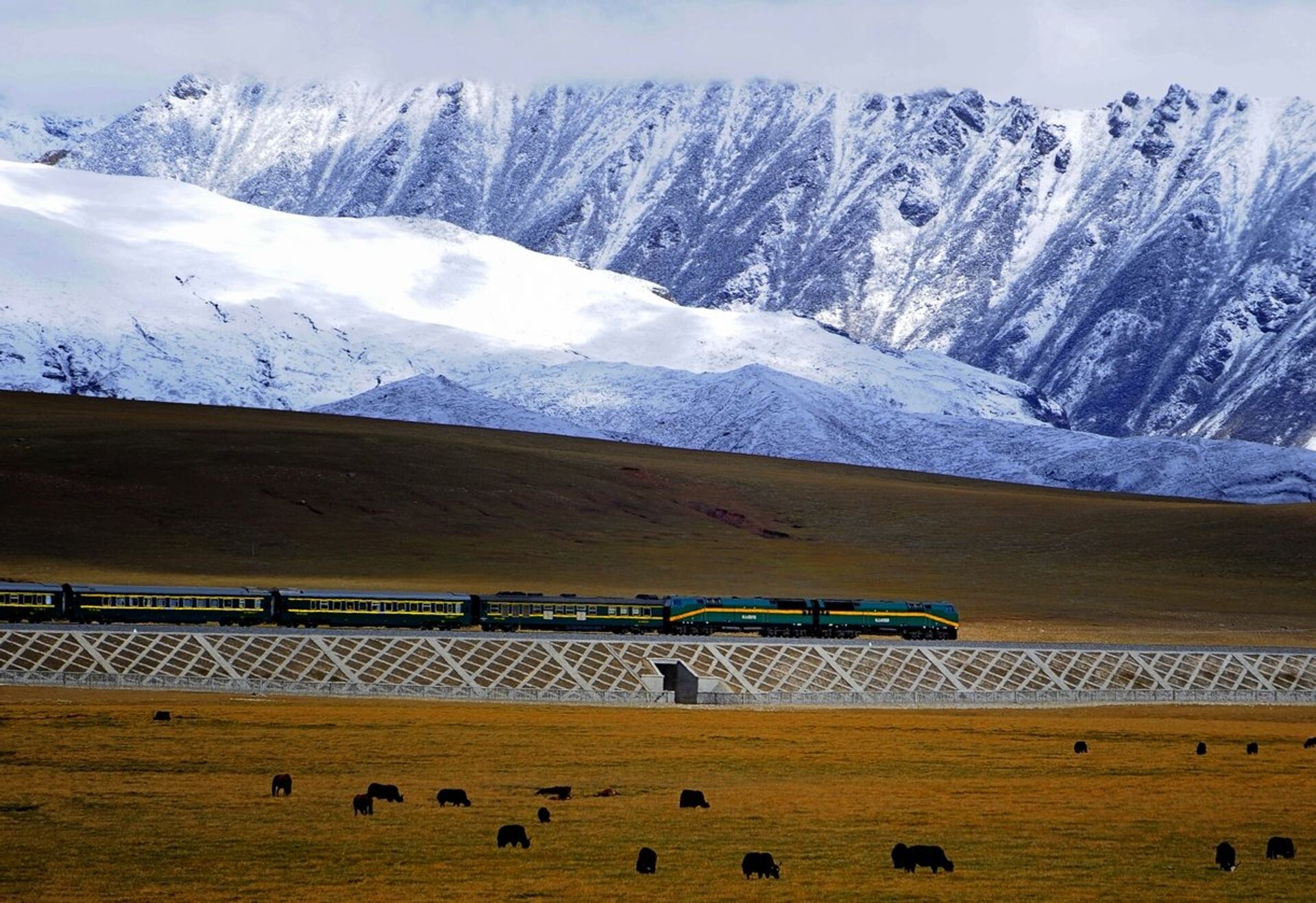 Цинхай-Тибетская железная дорога - ИноСМИ, 1920, 18.09.2020