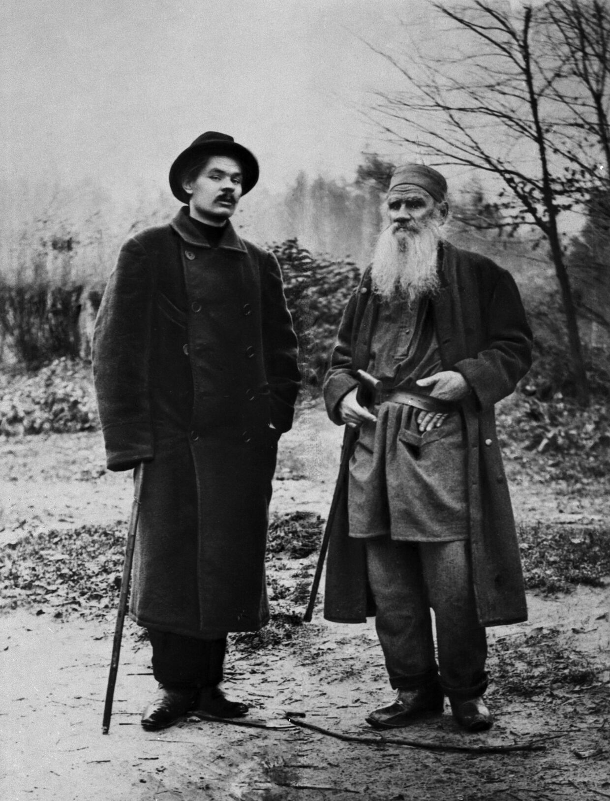 Писатели Максим Горький и Лев Толстой в Ясной поляне