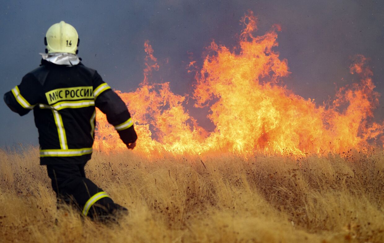 Сотрудник МЧС РФ на месте природного пожара
