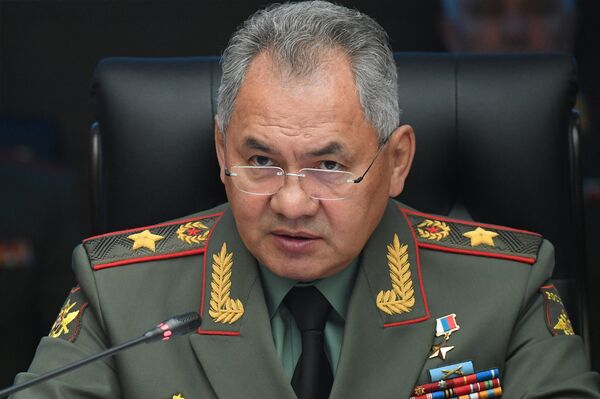 Министр обороны РФ Сергей Шойгу